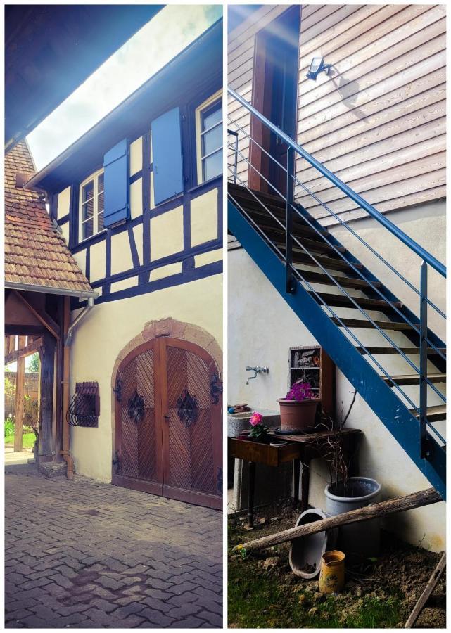 A La Forge Apartment Sermersheim Bagian luar foto